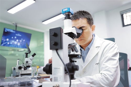 古瓷碎片数字化 景德镇基因库如何唤醒千年文明记忆