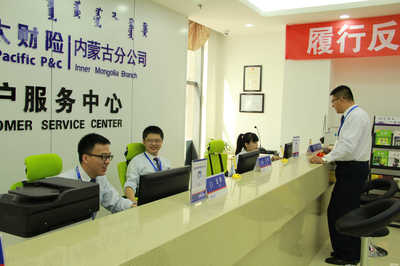 亚太财产保险内蒙古分公司信息咨询服务概览