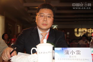 蒲小雷公布2012年度Themis中国上市公司财务安全与投资价值评级结果