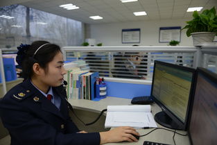 河北省国家税务局信息咨询指南